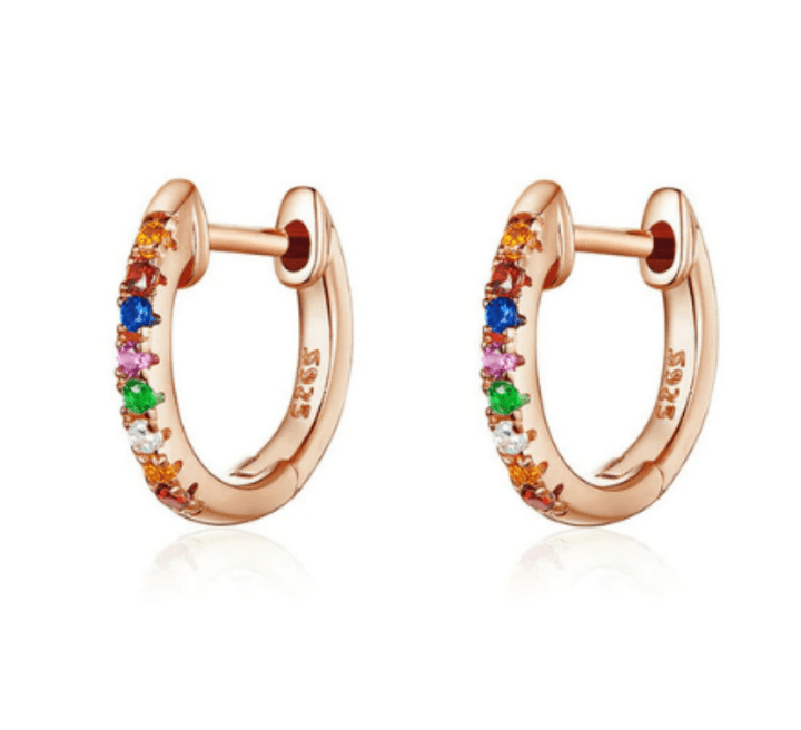 Rose Gold Round Circle Hoop Earring